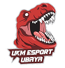Logo UKM Esport